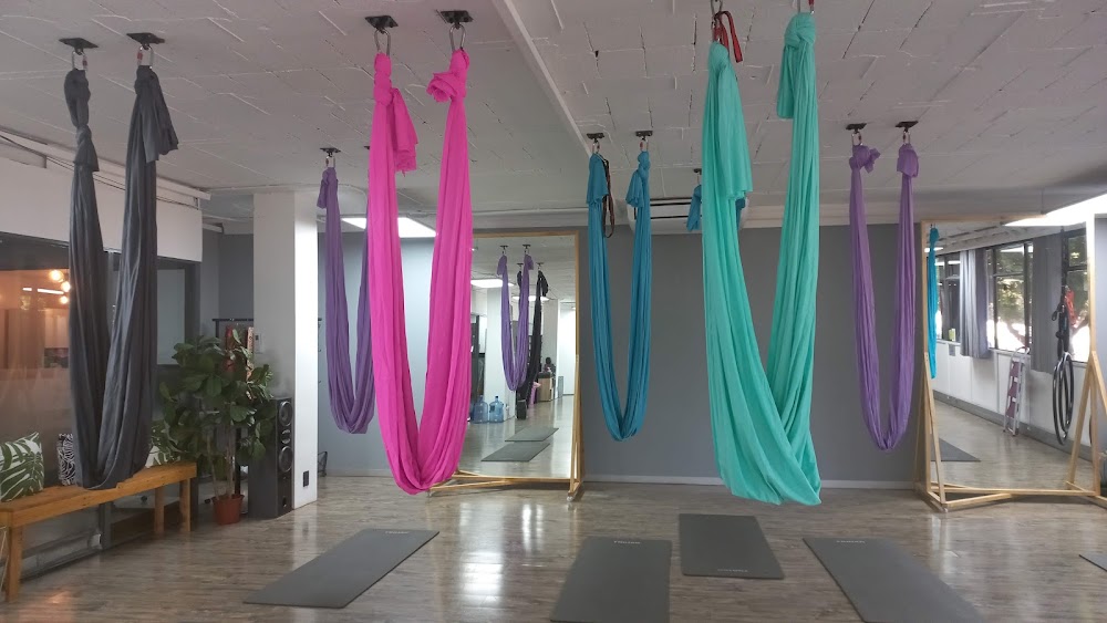Body & Mind fitness and Aerial studio