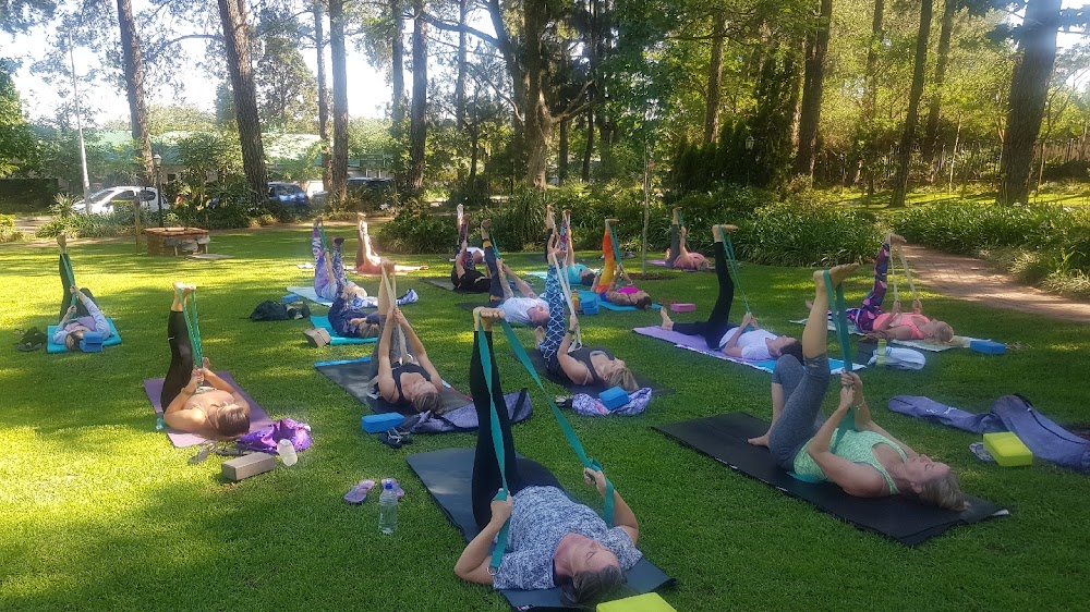 Free Spirit Wellness
