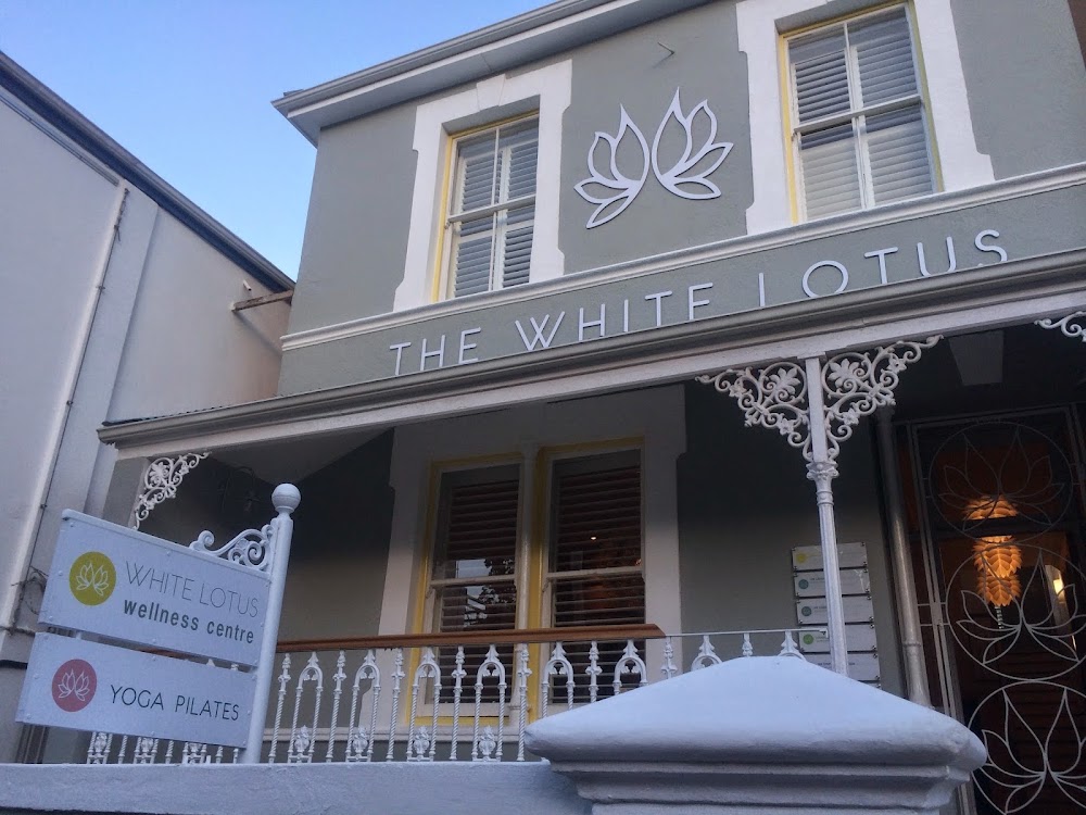 The White Lotus: Acupuncture and Chinese Medicine